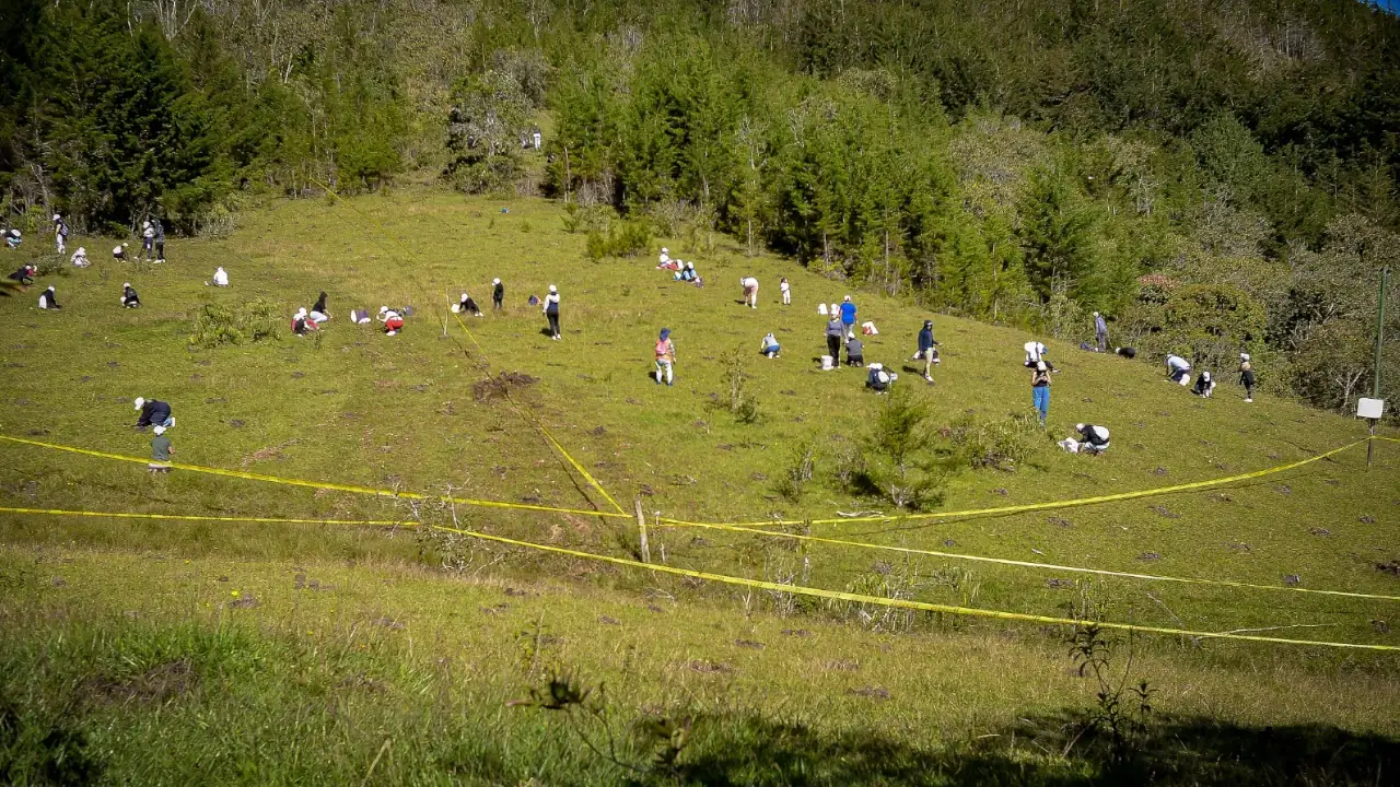 arboles-plantados-en-rionegro-sembraton1