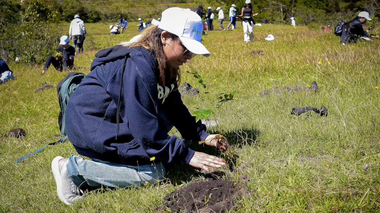 arboles-plantados-en-rionegro-sembraton2