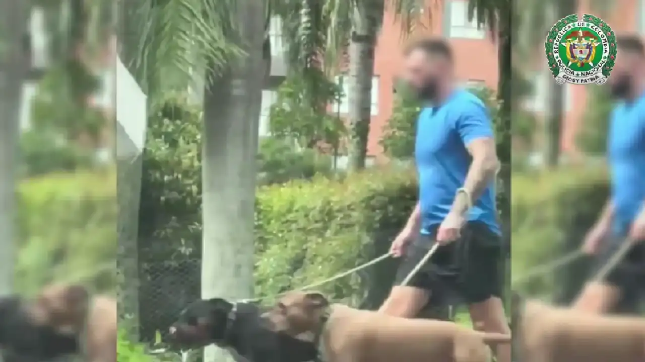 captura-narcoinvisible-ingles-clangolfo-medellin