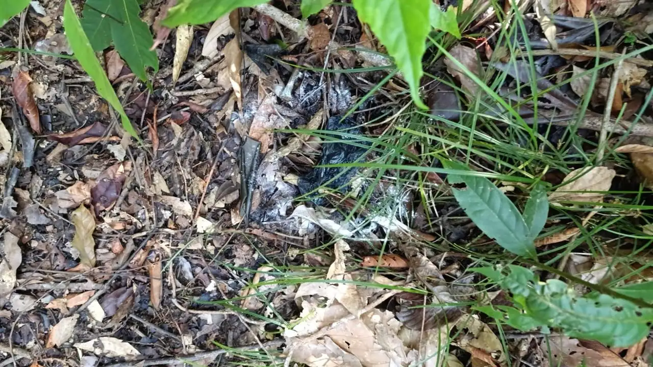 destruccion-atefactos-explosivos-camino-zona-rural-caceres2