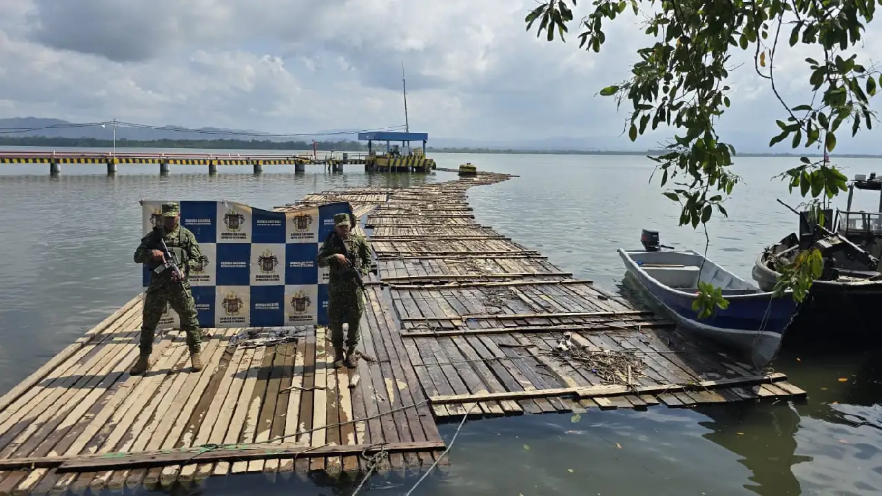 Cayó cargamento de madera ilegal en el Río Atrato, el material estaría avaluado en más de $100 millones de pesos madera-incautada-turbo-tala-ilegal-arboles