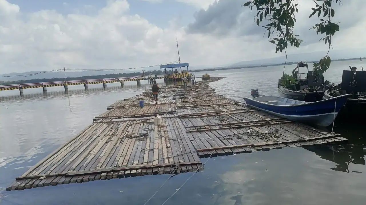 Cayó cargamento de madera ilegal en el Río Atrato, el material estaría avaluado en más de $100 millones de pesos 2 madera-incautada-turbo-tala-ilegal-arboles1
