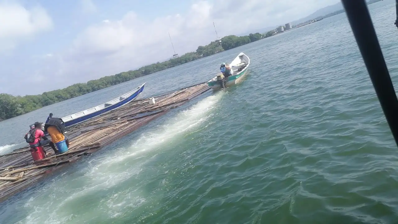 Cayó cargamento de madera ilegal en el Río Atrato, el material estaría avaluado en más de $100 millones de pesos 1 madera-incautada-turbo-tala-ilegal-arboles2