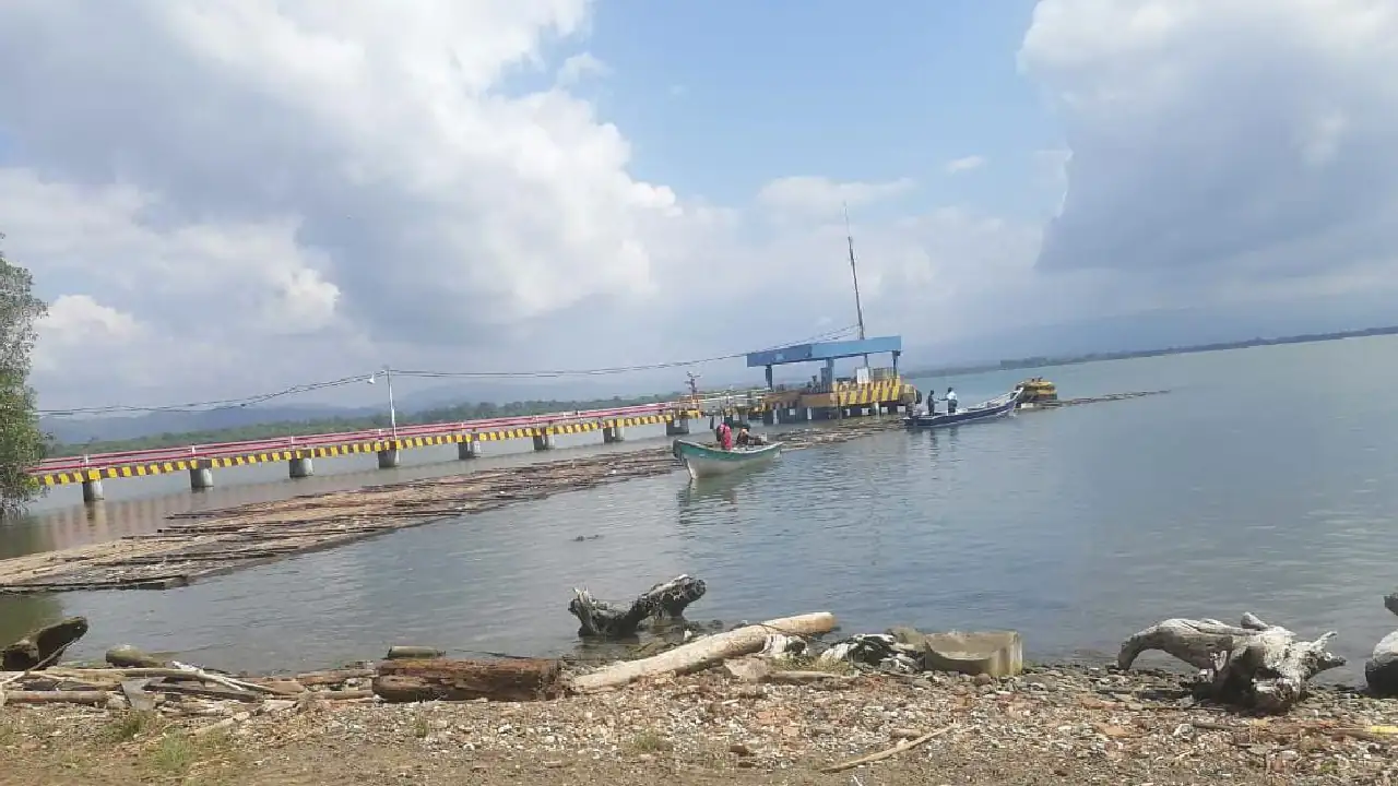Cayó cargamento de madera ilegal en el Río Atrato, el material estaría avaluado en más de $100 millones de pesos 3 madera-incautada-turbo-tala-ilegal-arboles3