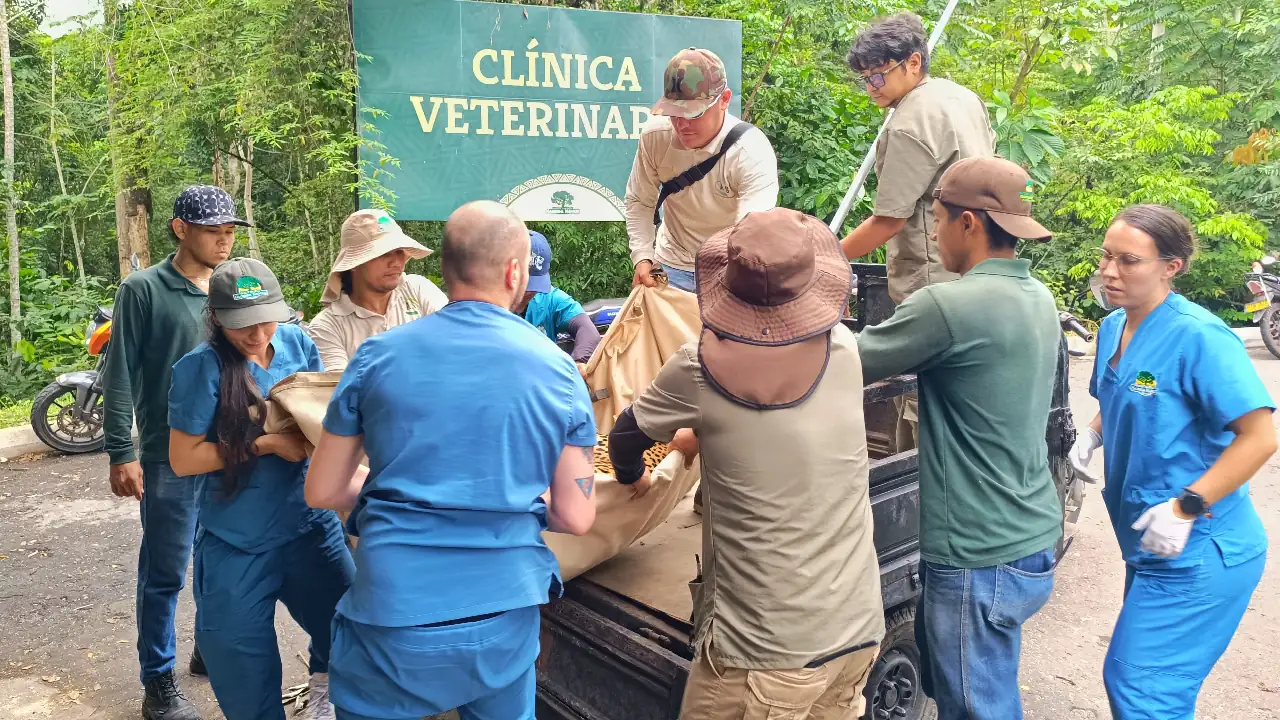 operacion-cataratas-jaguar-hacienda-napoles-primera-colombia6