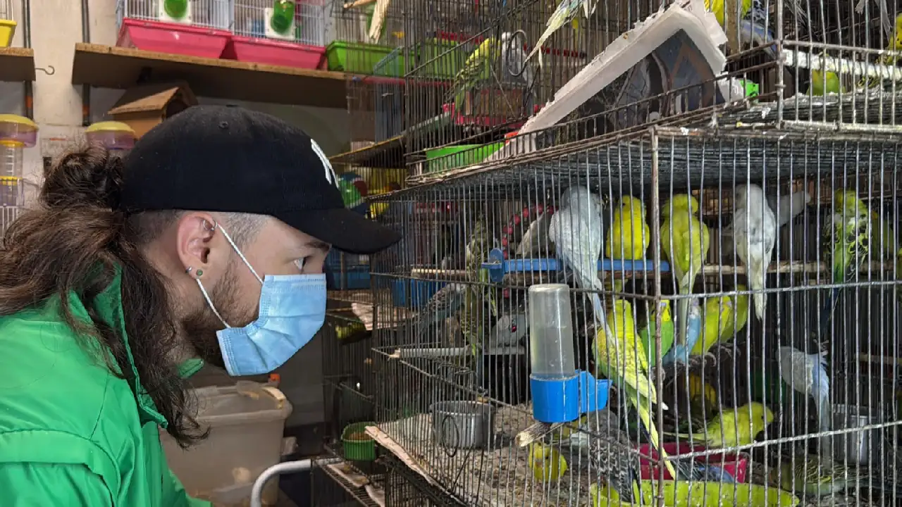 operativo-minorista-rescate-animales-medellin5