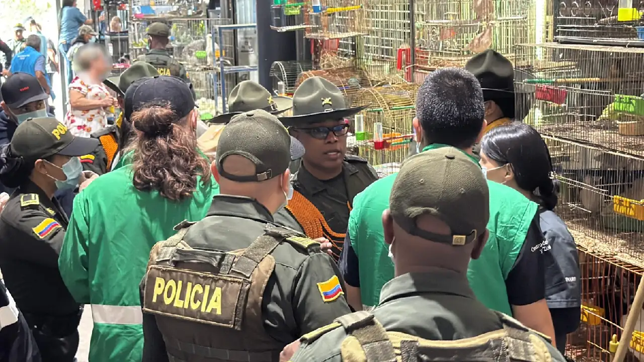 operativo-minorista-rescate-animales-medellin6