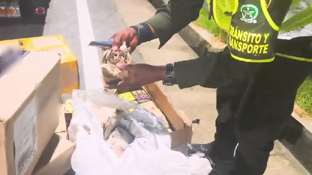 polvora-incautada-barbosa-encomienda-segovia1