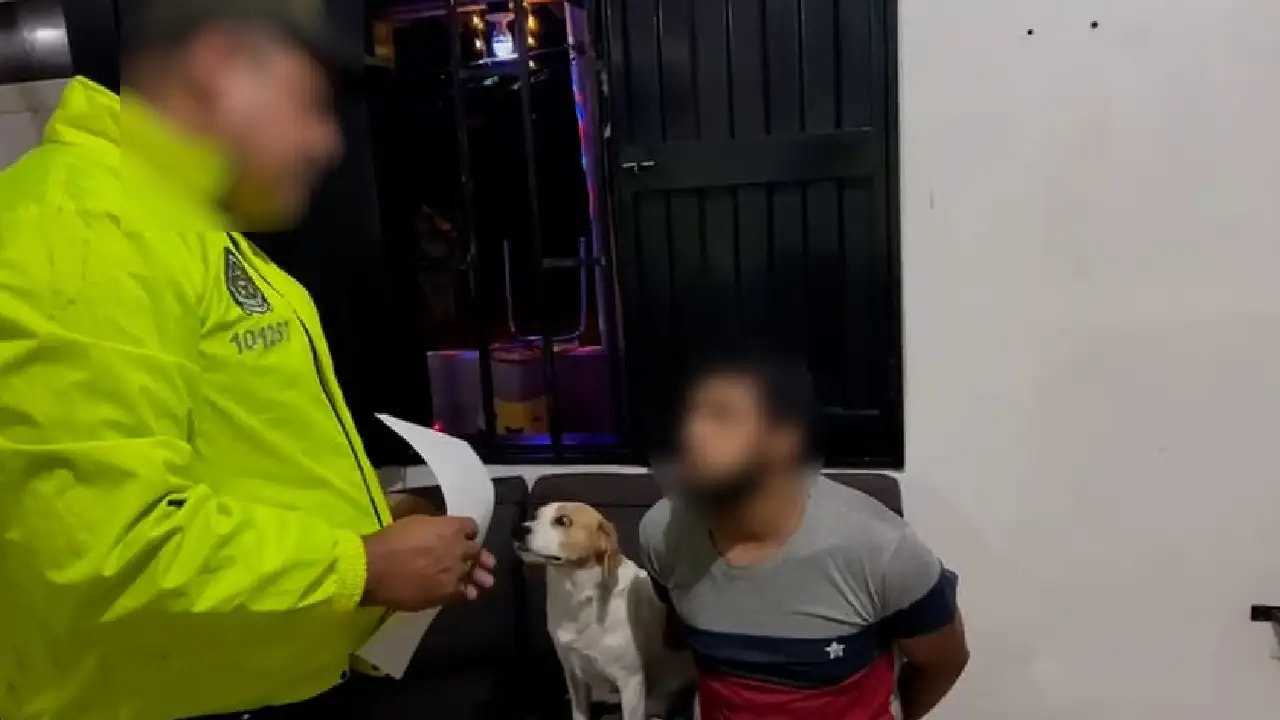 Capturan a proxenetas en Medellín: enviaban mujeres a Grecia para obligarlas a tener relaciones con 30 hombres al día 1 red-trata-presonas-medellin-grecia3