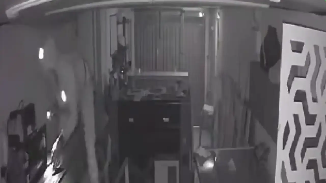 robo-local-laser-rionegro-ladrones-trepan-techos