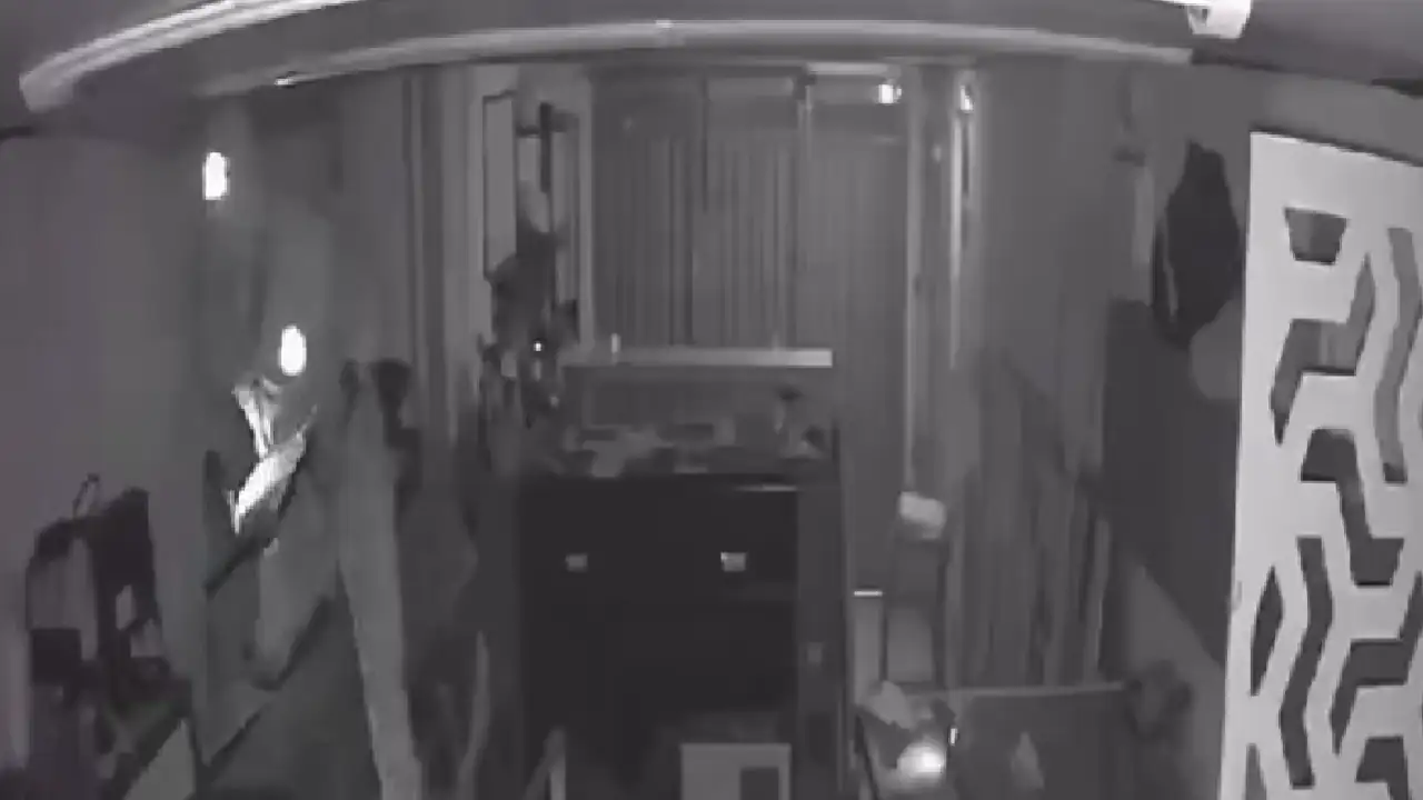 robo-local-laser-rionegro-ladrones-trepan-techos1