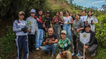 siembraton-laceja-cornare-arboles