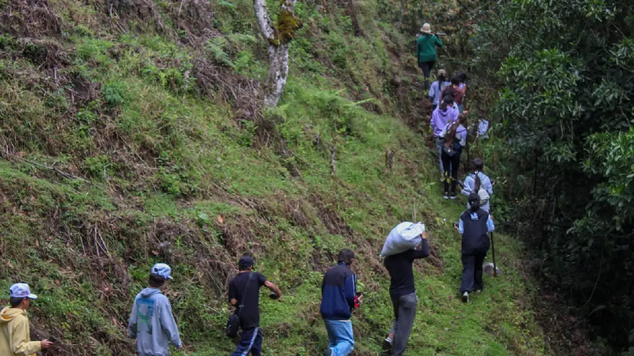 siembraton-laceja-cornare-arboles1