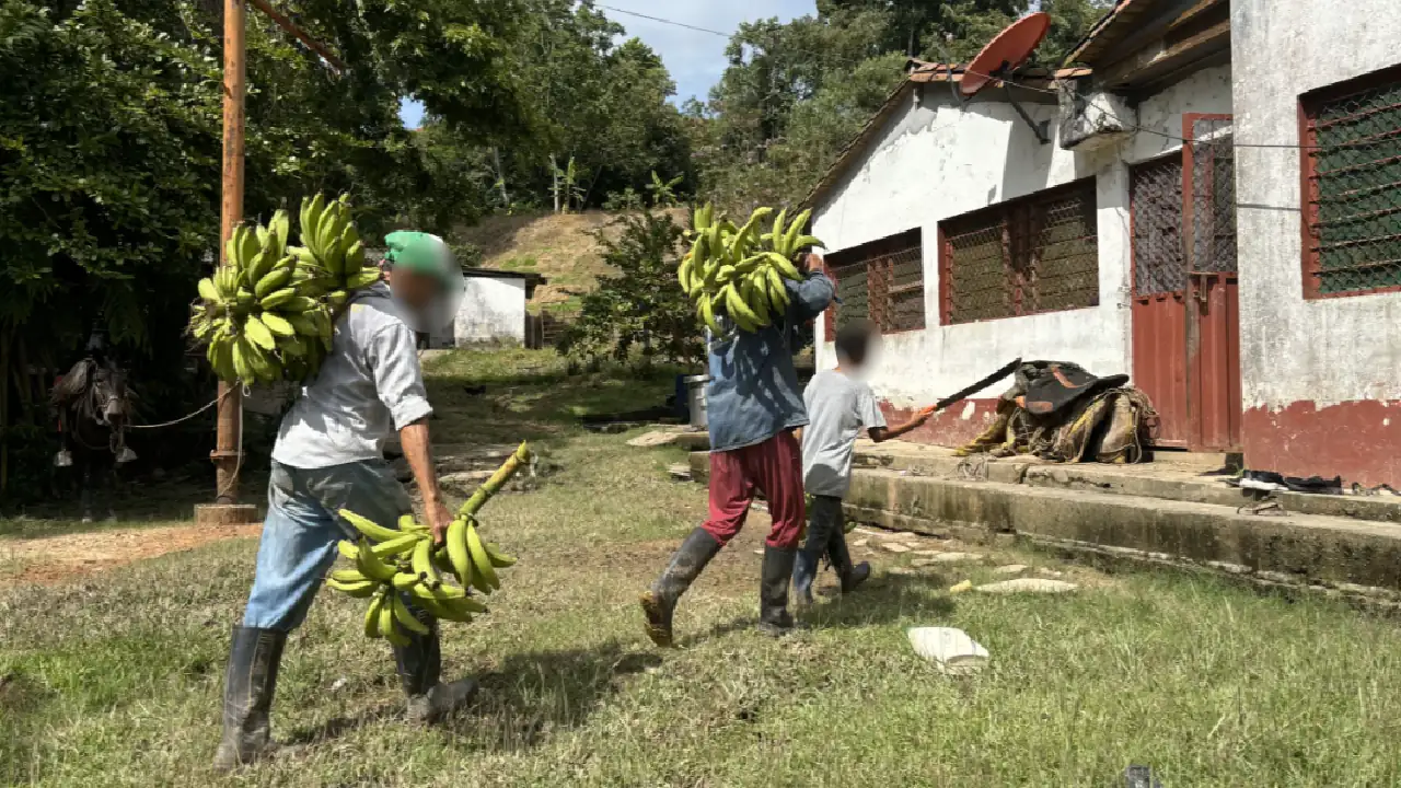 tierras-entregadas-campesinos-2024-en-antioquia6
