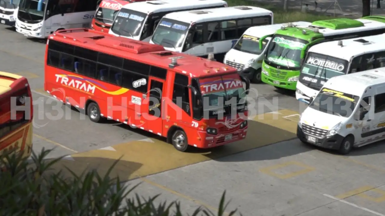 Buses-