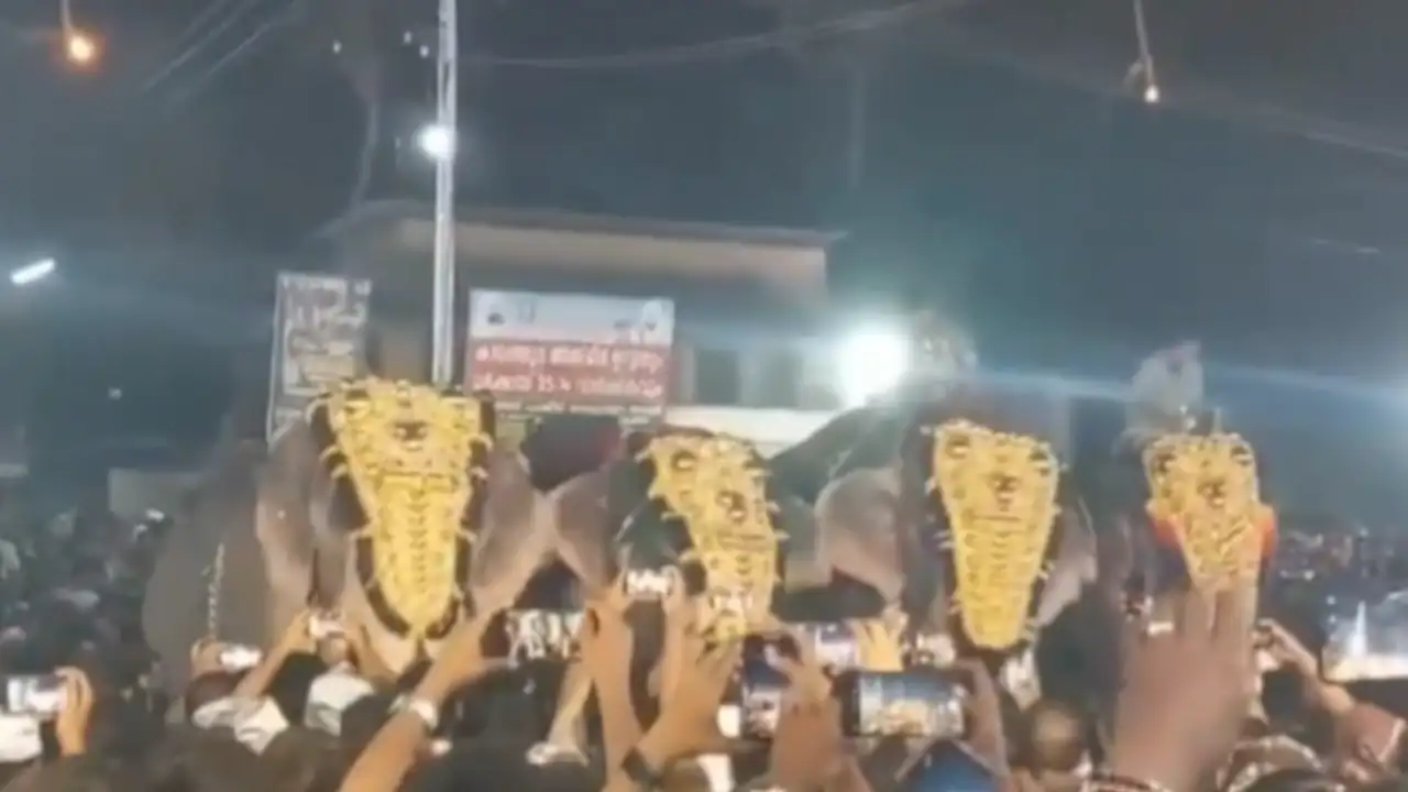 Elefantes-India-festival anual de Puthiyangadi