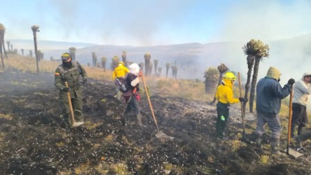 Videos| Incendio de gran magnitud ha consumido más de 200 hectáreas en el páramo de La Cortadera Incendio-Páramo-de-la-Cortadera