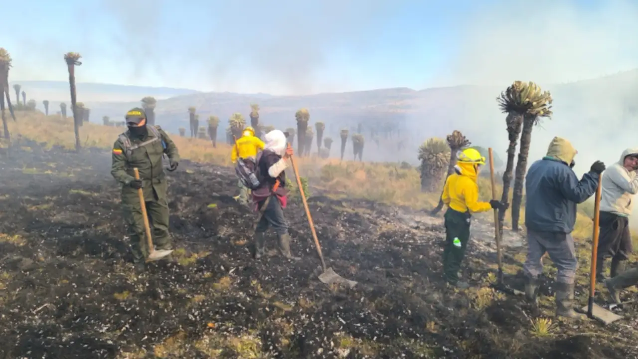 Videos| Incendio de gran magnitud ha consumido más de 200 hectáreas en el páramo de La Cortadera Incendio-Páramo-de-la-Cortadera