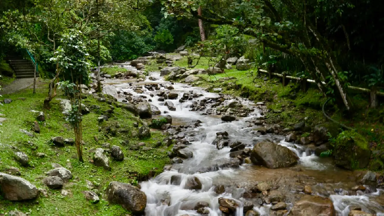 campañas-ambientales-puente-reyes-corantioquia-