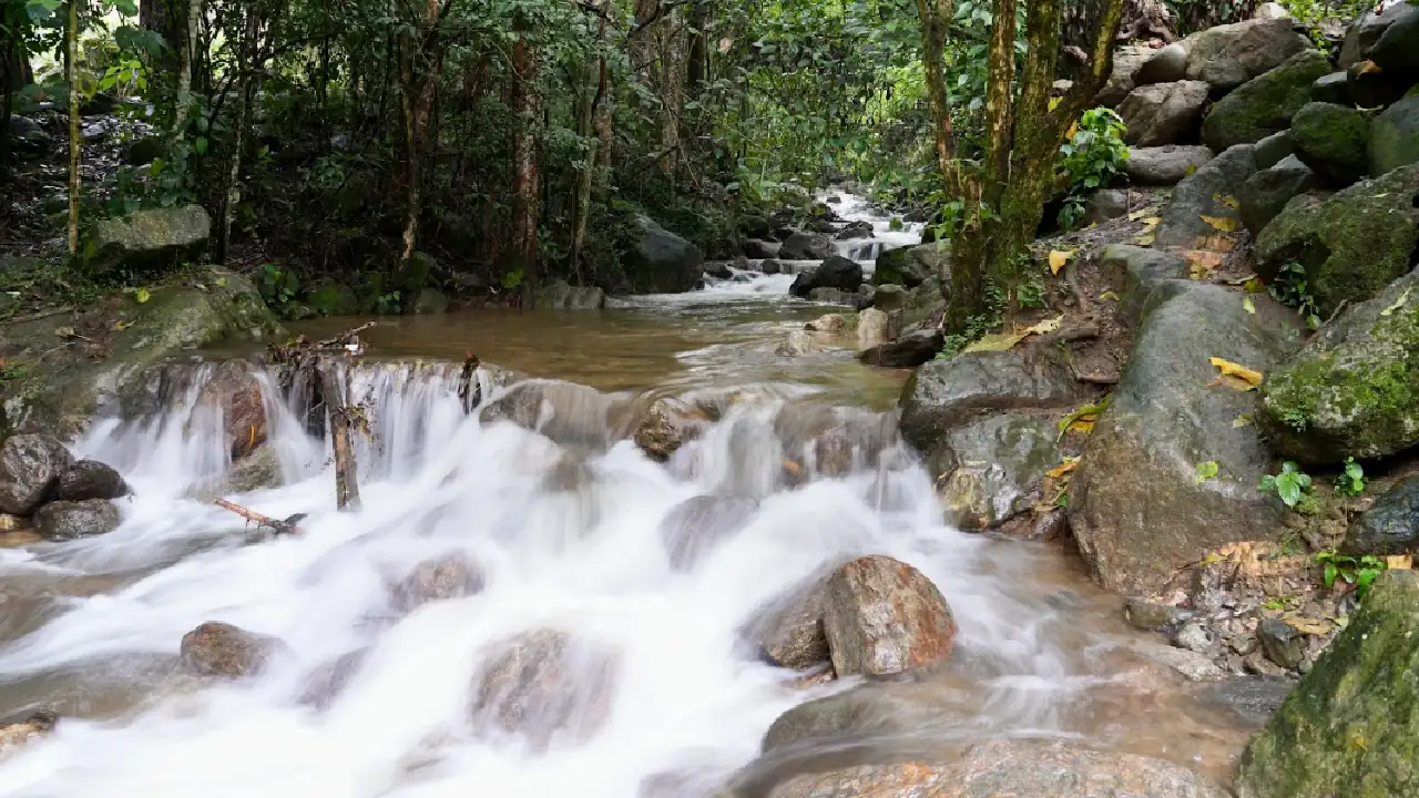 campañas-ambientales-puente-reyes-corantioquia2