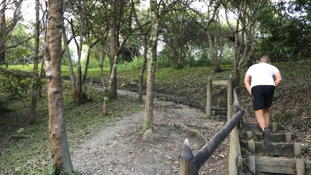 En Medellín buscan proteger los cerros tutelares en temporada de vacaciones: que no se conviertan en basureros 2 cerros-tutelares-recomendaciones-cuidado-vacaciones