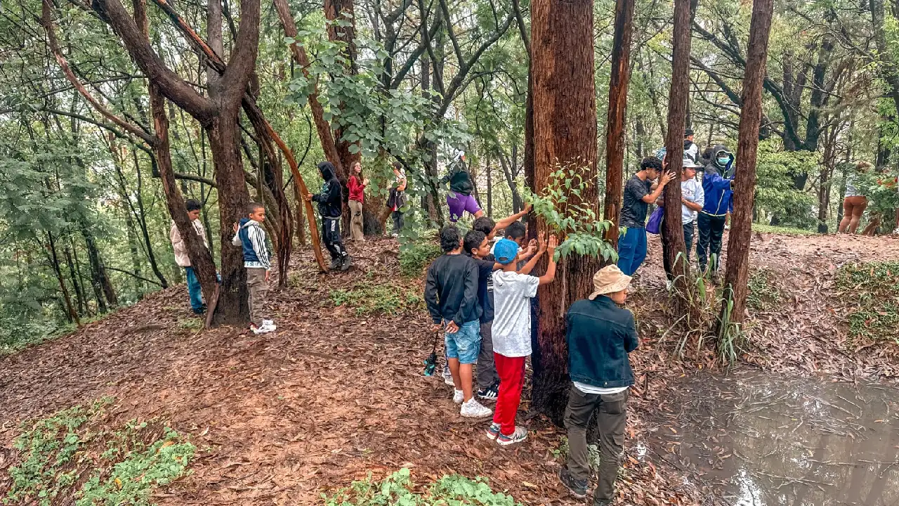 En Medellín buscan proteger los cerros tutelares en temporada de vacaciones: que no se conviertan en basureros 1 cerros-tutelares-recomendaciones-cuidado-vacaciones2