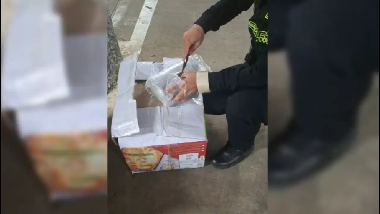 droga-incautada-termimal-sur-medellin-iba-apartado1