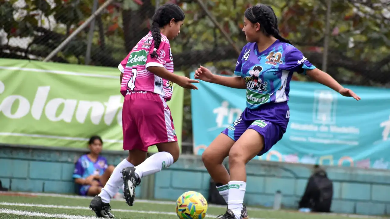 festival-festivales-inicio-medellin-2025-lospaisitas1