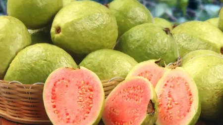 guayabas-Psidium