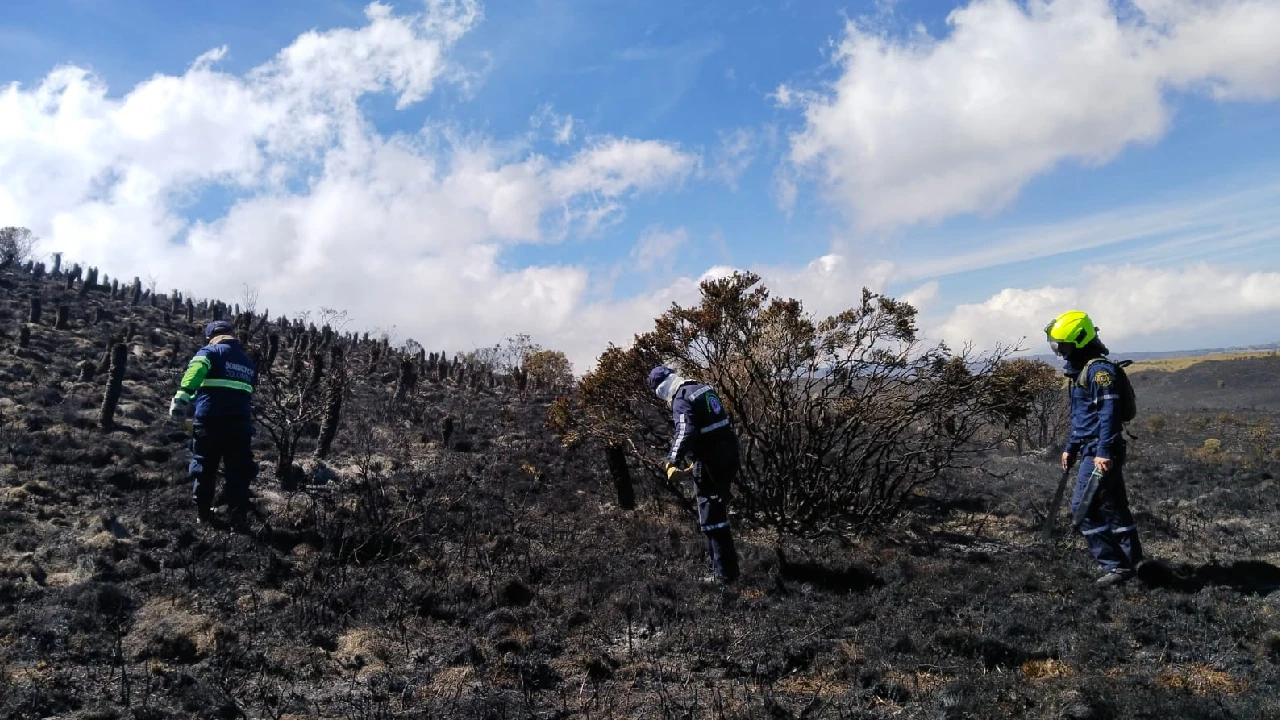 incendios-forestales-colombia-antioquia-ungrd2