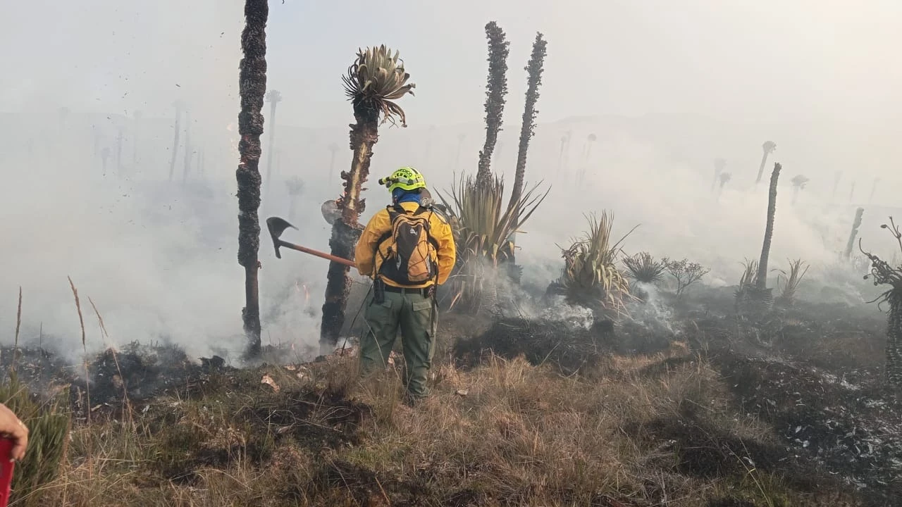 incendios-forestales-colombia-antioquia-ungrd4