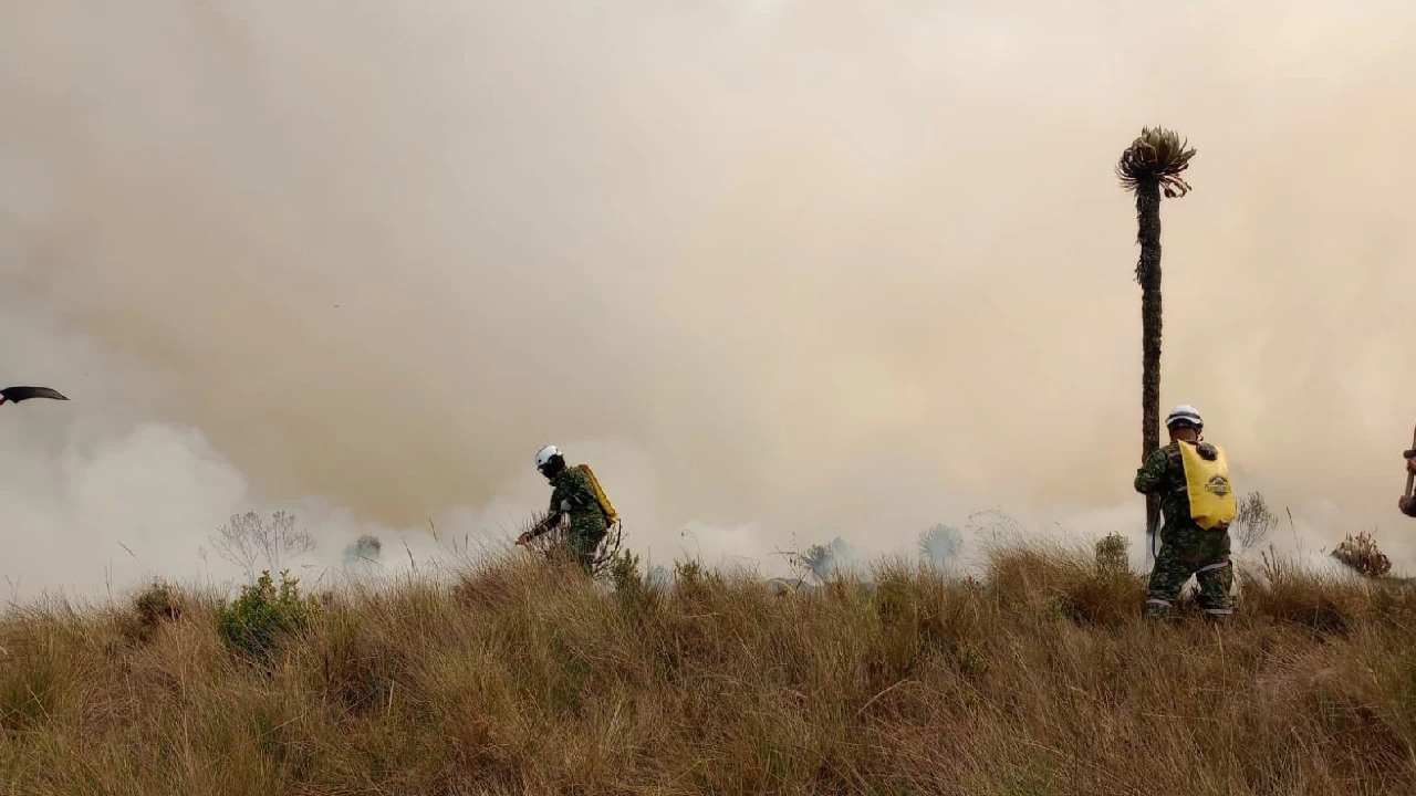 incendios-forestales-colombia-antioquia-ungrd5