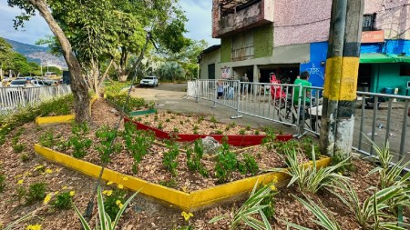 intervenciones-ambientales-medellin-limpieza-zonas1