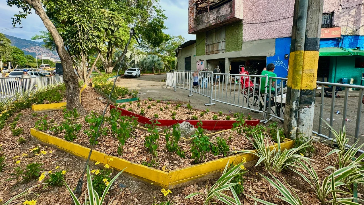 intervenciones-ambientales-medellin-limpieza-zonas1