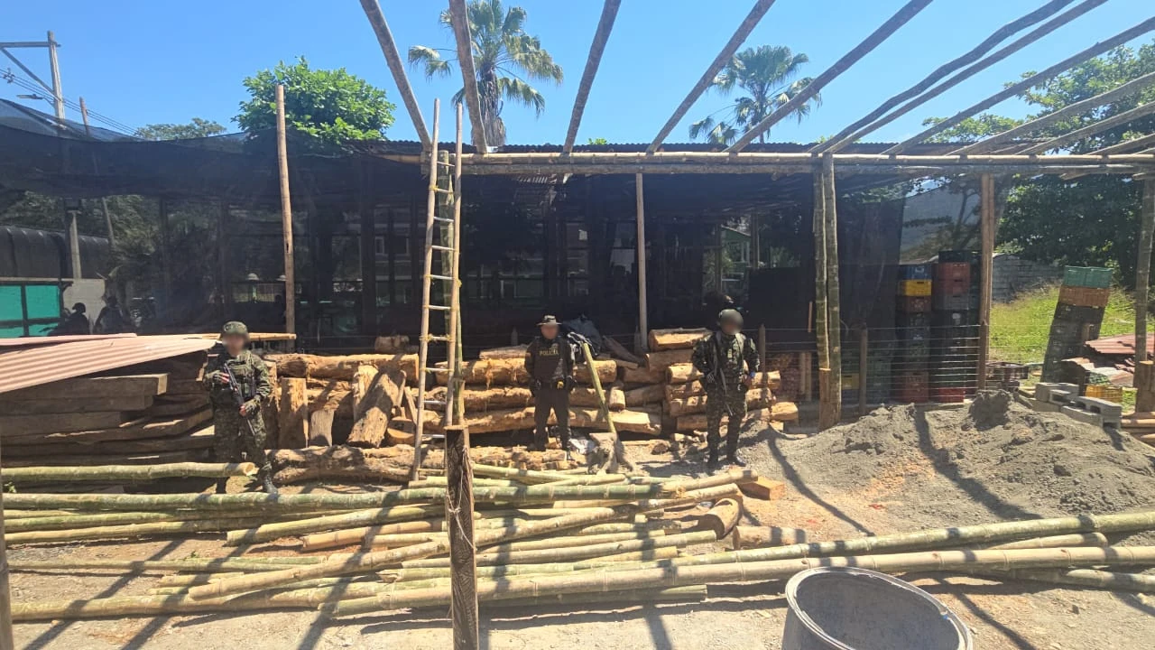 madera-incuatada-lapintada-antioquia-deforestacion