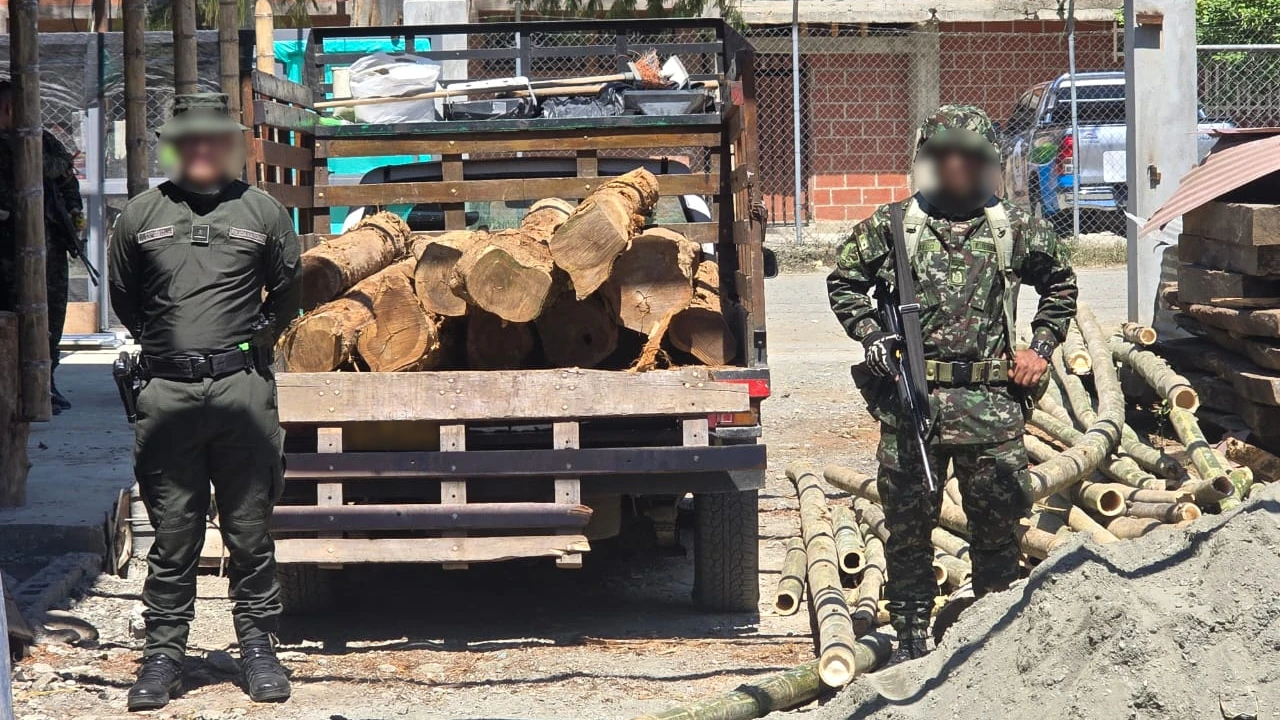 madera-incuatada-lapintada-antioquia-deforestacion3