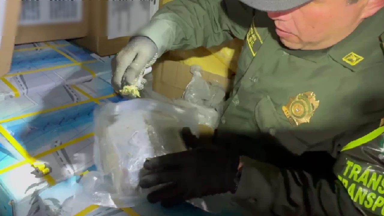 marihuana-hallada-transporte-antioquia-valledupar1