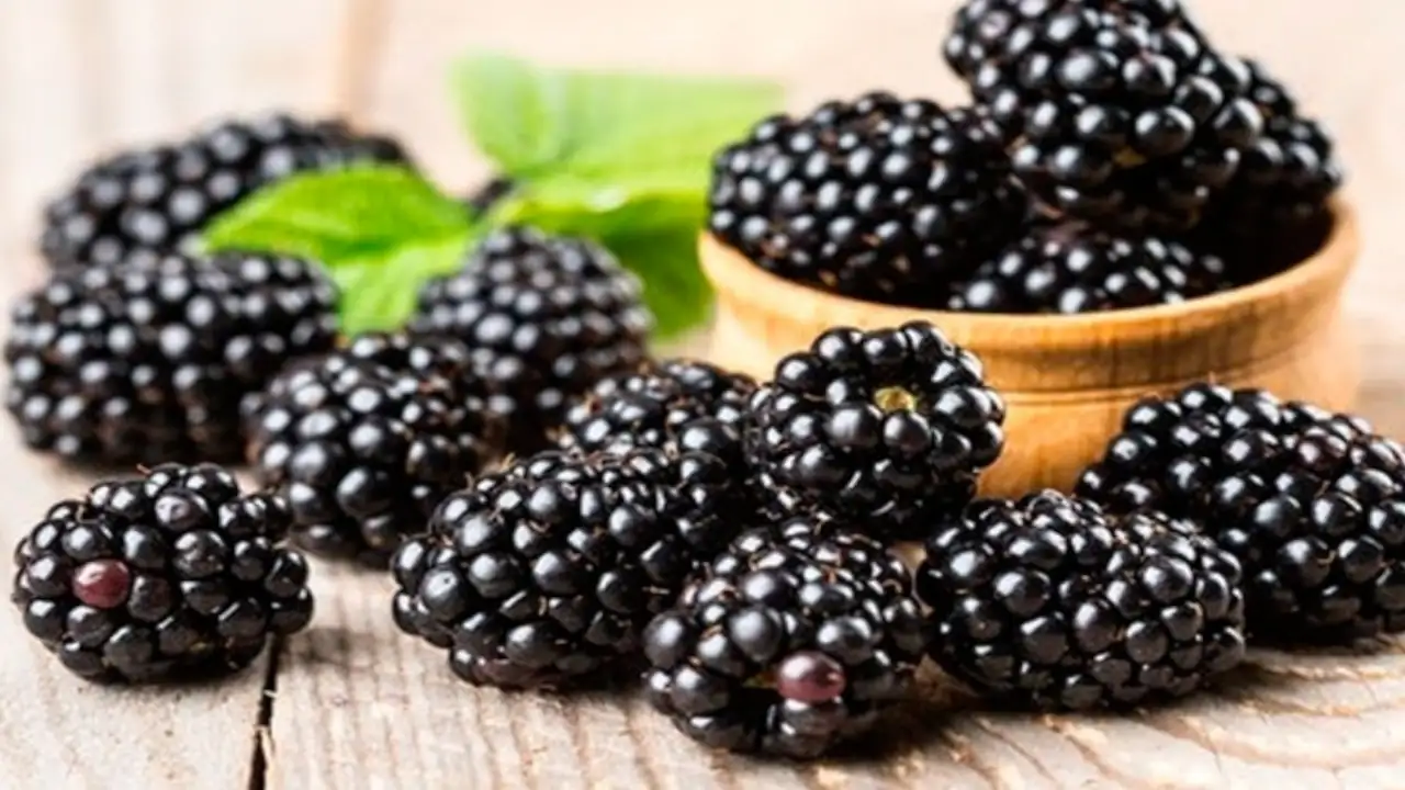 La mora: Un superalimento lleno de beneficios para tu salud moras beneficios