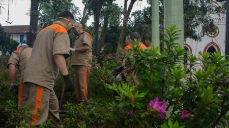 A algunos privados de la libertad en La Ceja los sacaron un ‘ratico’ para que embellecieran el parque principal