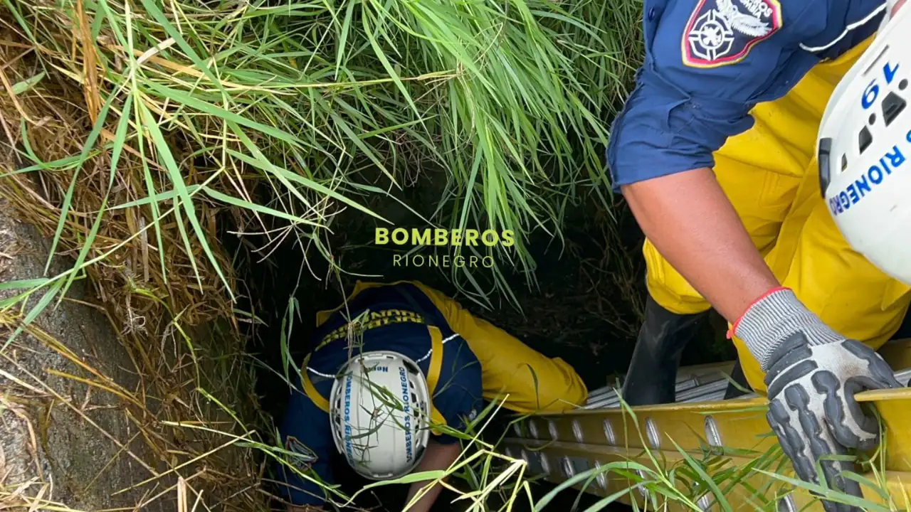 Bomberos de Rionegro rescataron a una perrita que cayó a un pozo