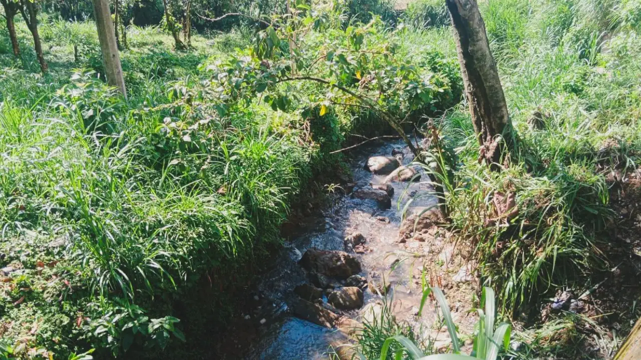 Sacan 500 kilos de basura de un río en La Estrella