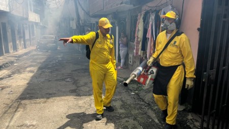 Cuidado con el dengue en Medellín: medidas clave para reducir los casos y proteger a los más vulnerables CUIDADOS DENGUE