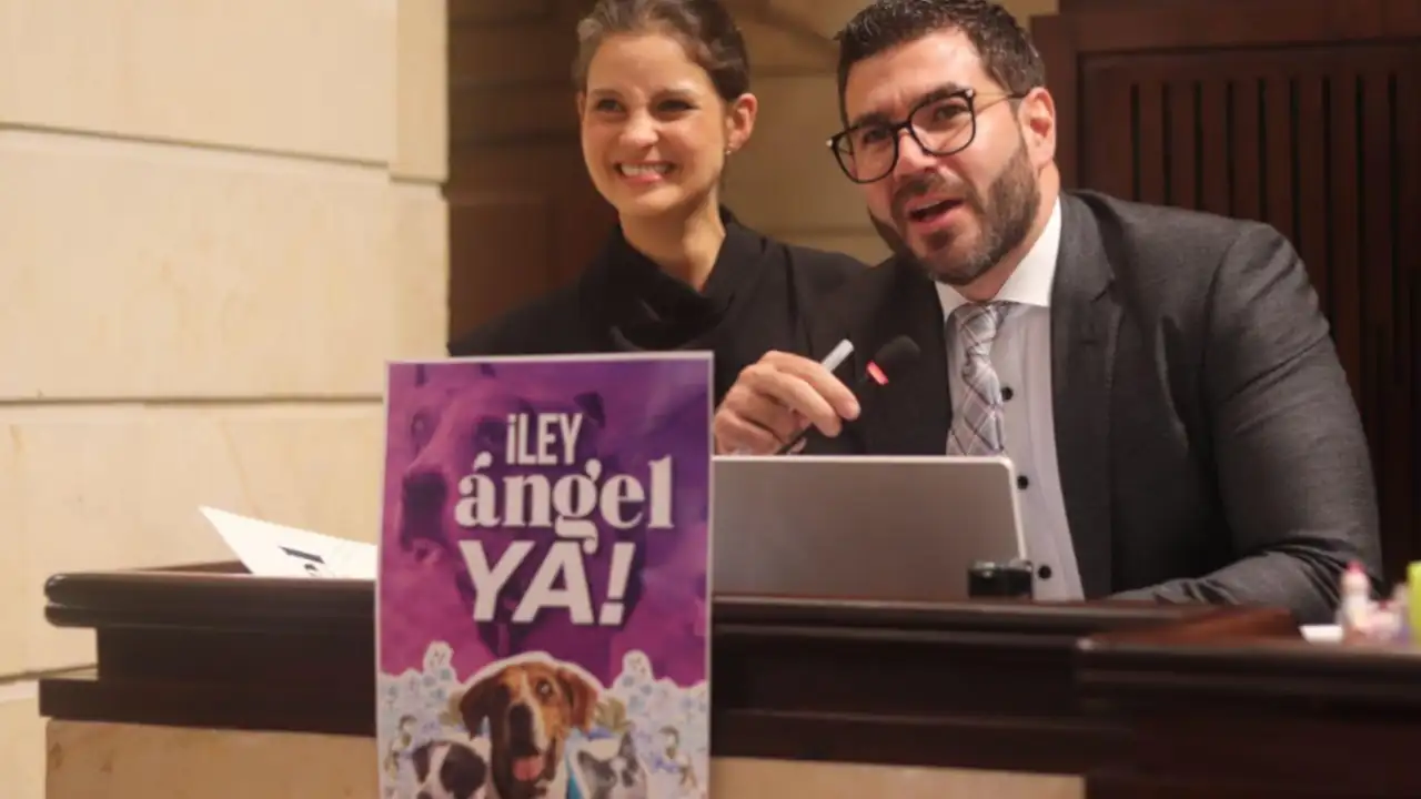 Ley-ángel-Cámara
