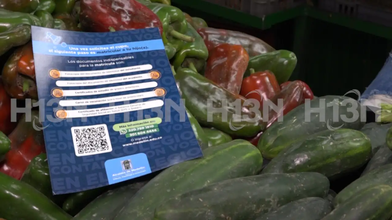 ¡Que su hijo no se quede sin estudiar! Alcaldía de Medellín realiza Matriculatón 2025: 20 horas continuas de recorridos 1 Matriculatón