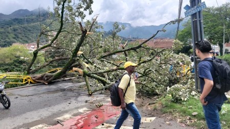 arbol-caido-copacabana-valle-de-aburra