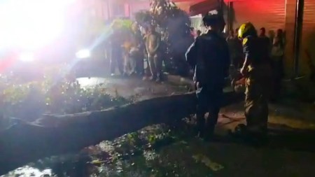 arbol-caido-prado-centro-medellin-policias