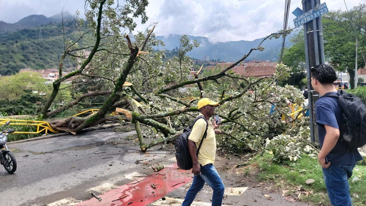 arbol-caido-copacabana-valle-de-aburra