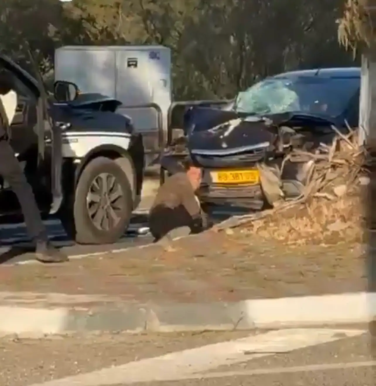 Atropello masivo en Israel deja al menos diez heridos: el conductor chocó contra una parada de autobús 2 atropello-masivo-3