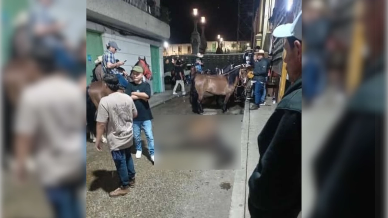¿Maltrato animal? Indignación por un caballo que murió tras cabalgata en Santo Domingo, Antioquia cabballo-demayado