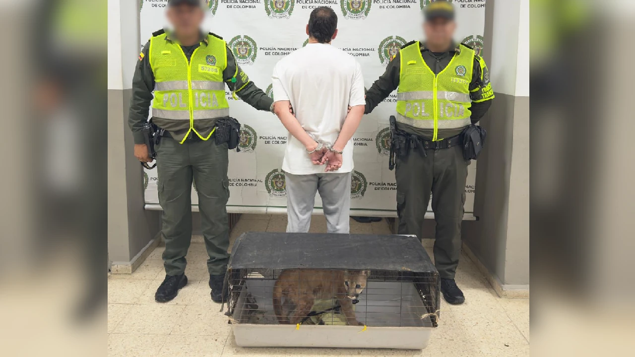 captura-trafico-fauna-hombre-camioneta-puma-girardota1